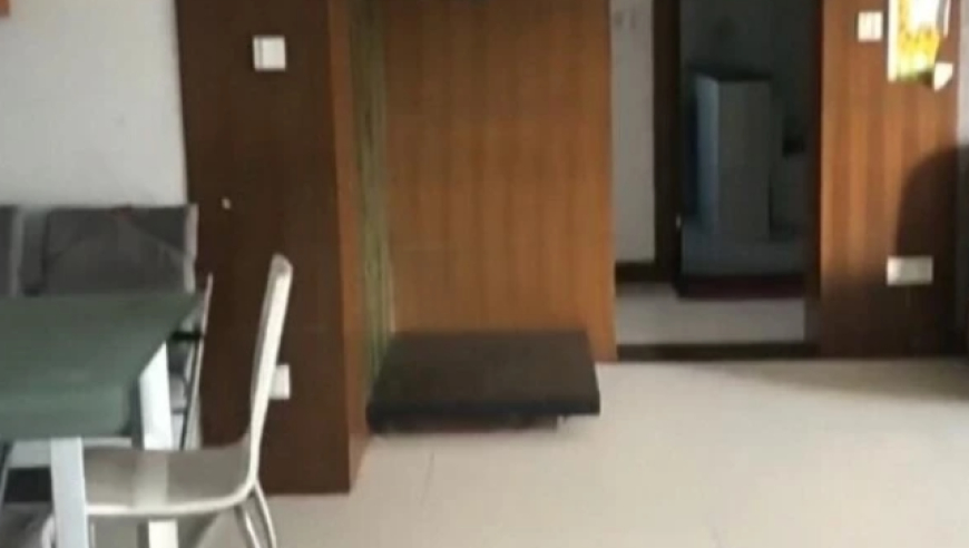 射雕英雄传延长上映至3月31日,2025澳门开奖记录结果,整体规划执行讲解_工具版V15.25